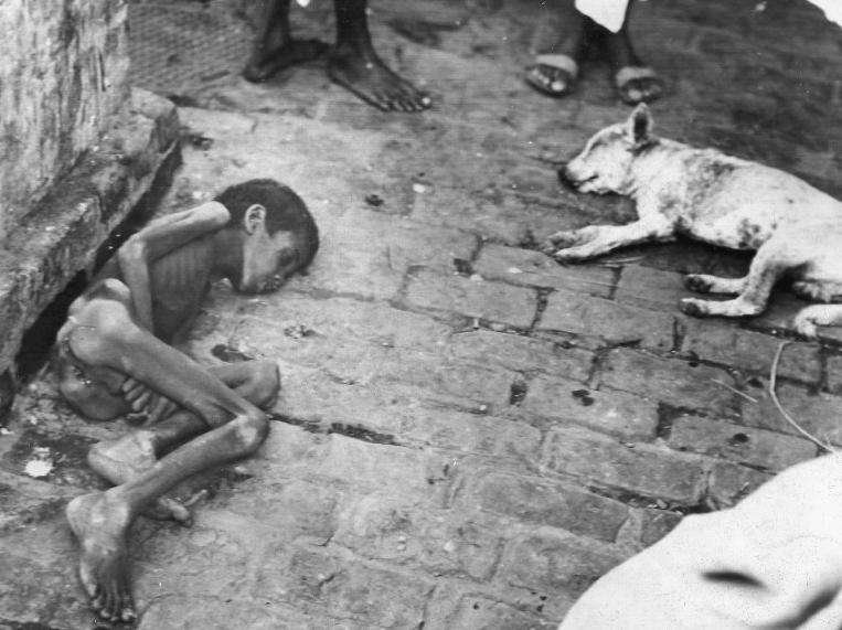 Bengal famine 1943 food distribution