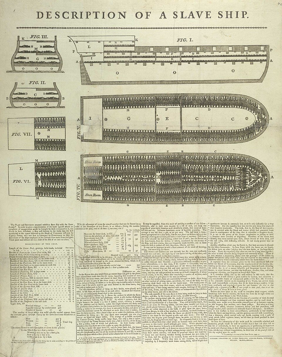 The Transatlantic Slave Trade: How Forced Migration Built Colonial Empires and Wealth