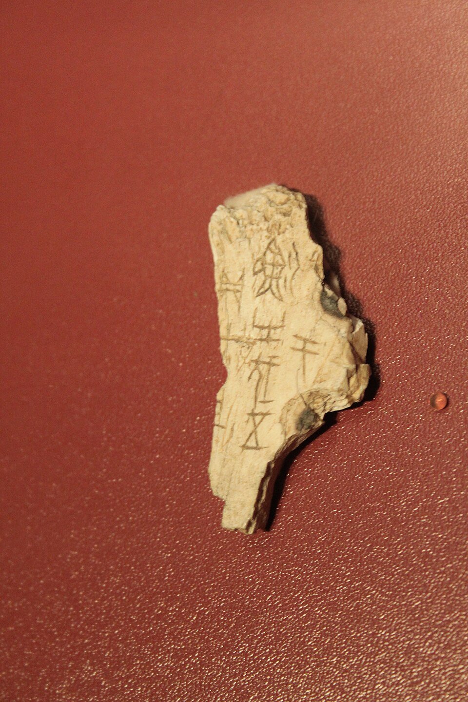 The Shang Dynasty: Oracle Bones and the Birth of Chinese Writing
