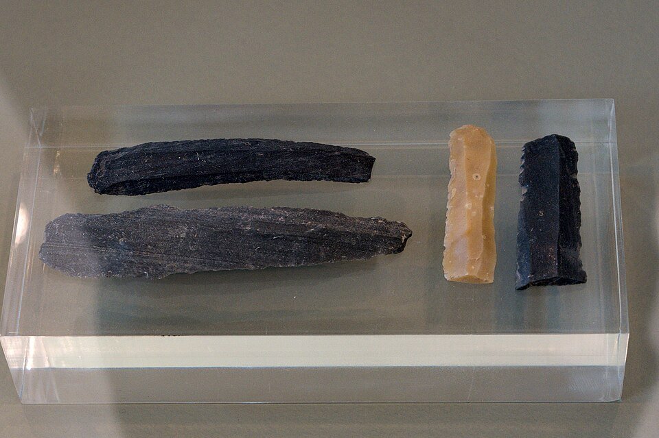 Neolithic Agricultural Revolution 10,000 BCE: Fertile Crescent Farming