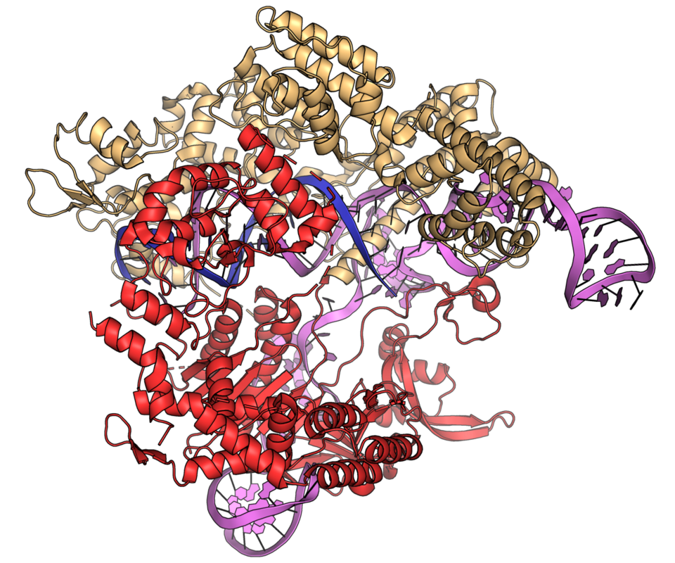 CRISPR-Cas9 Gene Editing 2012: The Genomic Revolution