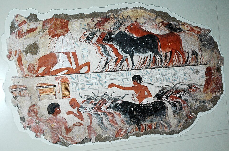 Animal Domestication 10,000 BCE: Dogs, Cattle, Horses & Agricultural Revolution