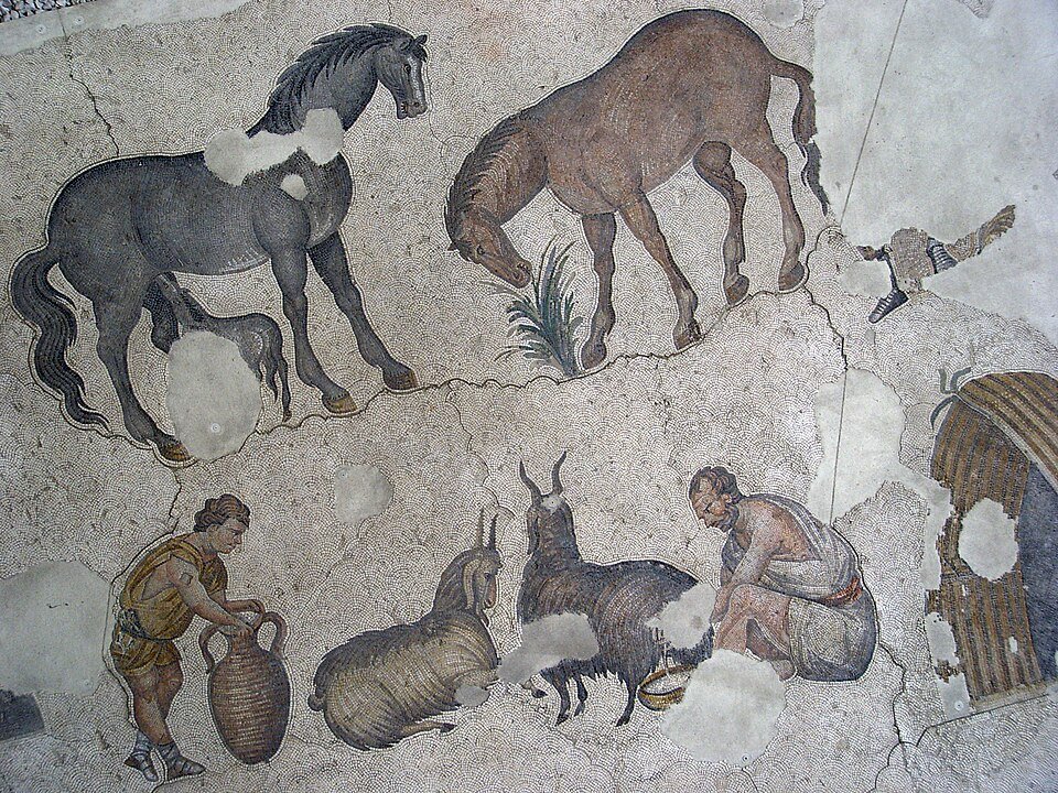 Ancient Egyptian tomb wall painting depicting oxen plowing fields and pulling carts