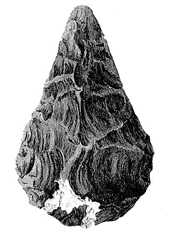 Mastery of Fire: Early Hominids, Cooked Food & Brain Development