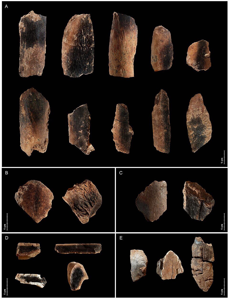 Qesem Cave Paleolithic hearth ash excavation